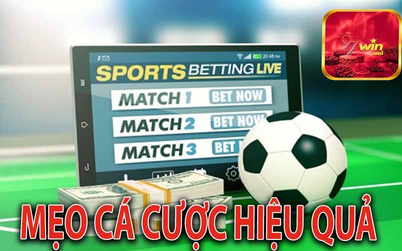 Mẹo Cá Cược Thể Thao 97Win Hiệu Quả 